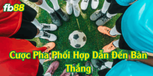 Nhận diện các đặc điểm